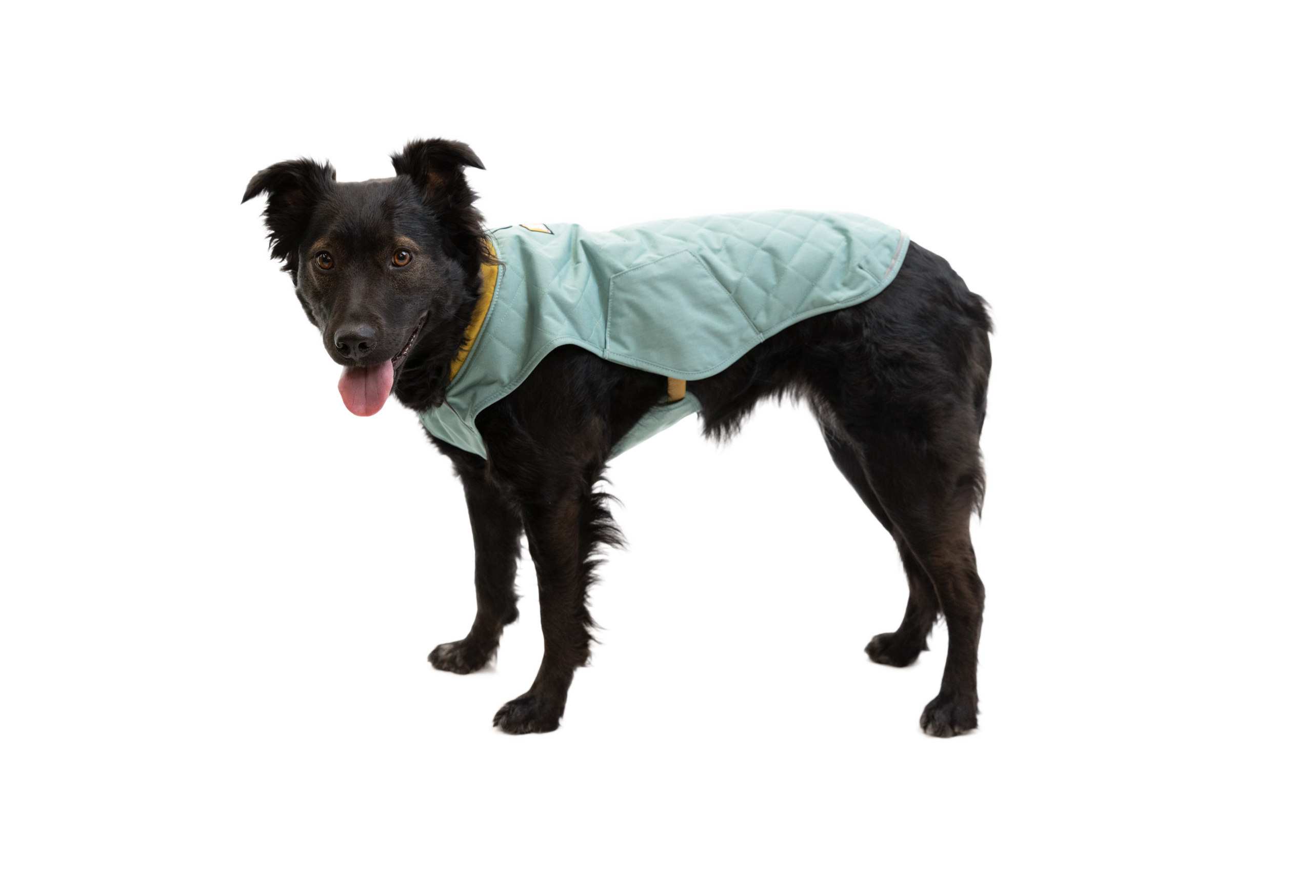 0595-Stumptown-Jacket-River-RockGreen-Raya_Small_b3766f80-1296-4506-b5b3-a9ebb0cad8f8.png
