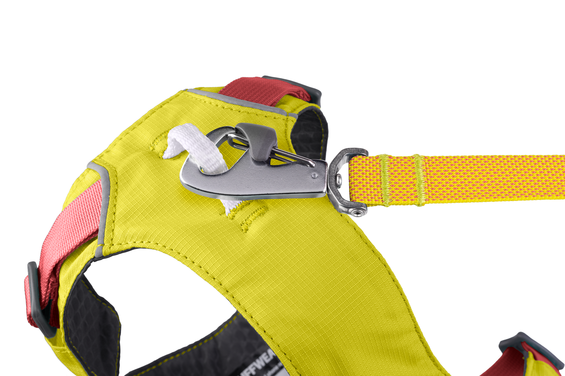 30551-Flagline-Harness-Lichen-Green-Mist-Leash-SMALL.png