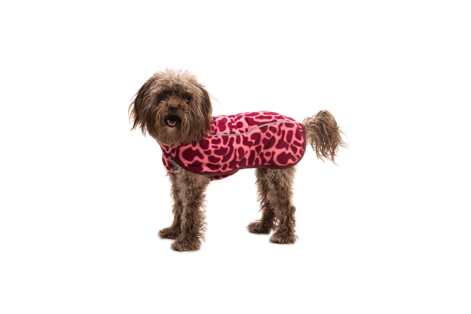 CompressedPNG-0588_Climate-Changer-Fleece-Vest_Berry-Lava_On-Dog_STUDIO.png